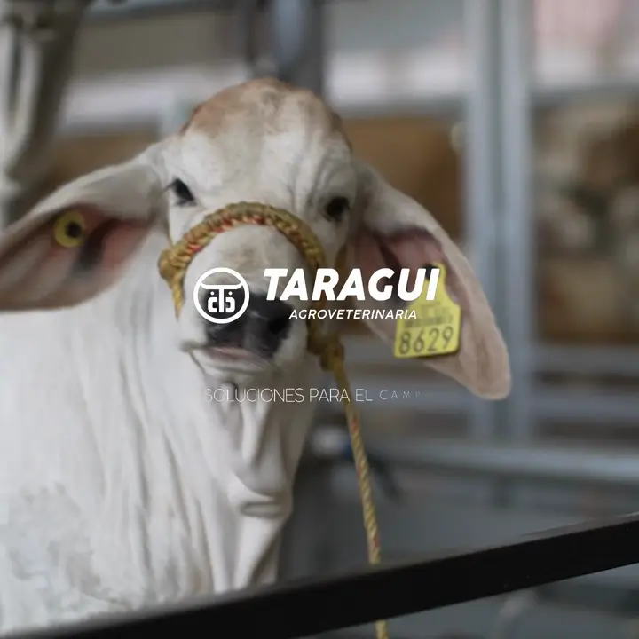 Pieza audiovisual para Taragüí Agroveterinaria